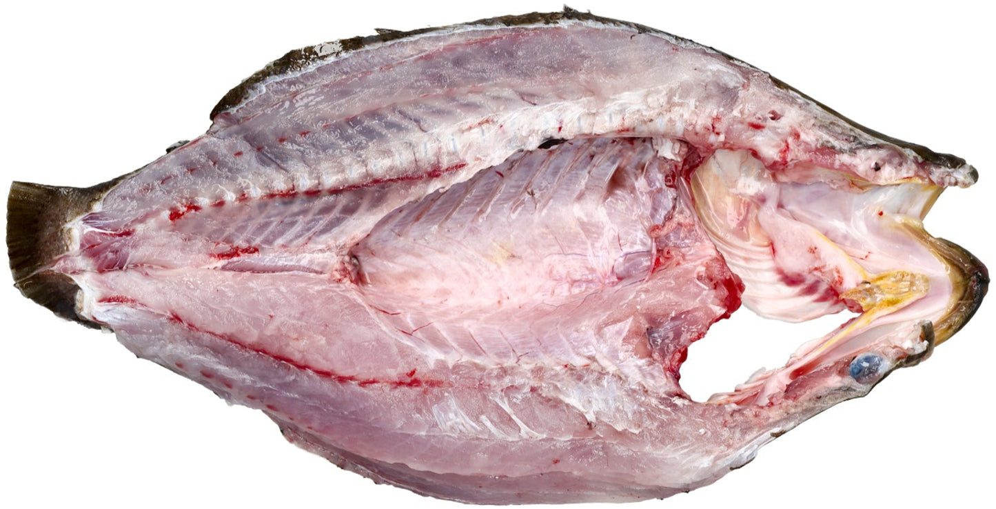 Salyah Australian Seabass